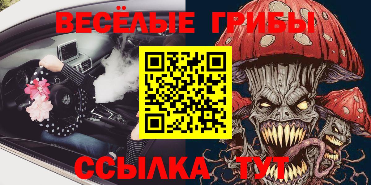 Галлюциногенные грибы Psilocybine cubensis  Вход с VPN  Среднеуральск 